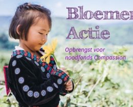 Bloemen-actie plaatje